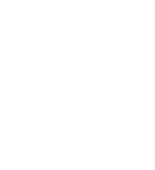 Document with check mark